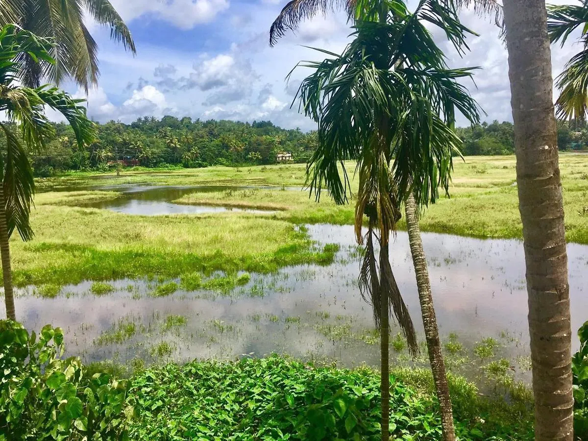 Thottungal Homestay Nedumbassery India